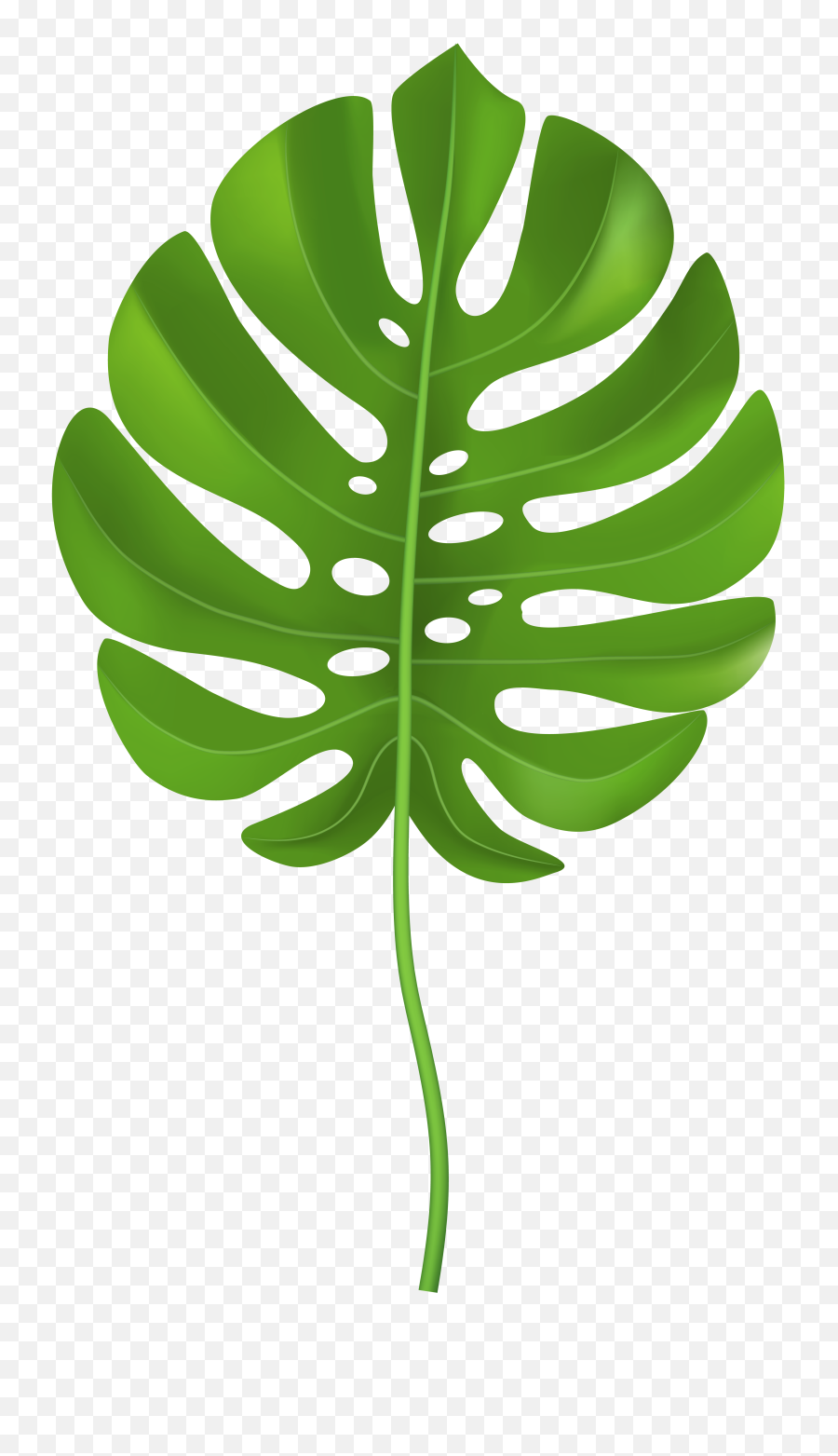 Palm Leaf Clipart Transparent - Clip Art Palm Leaf Png,Leaves Clipart Png