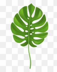 Palm Leaf Clipart Transparent - Clip Art Palm Leaf Png,Leaves Clipart Png