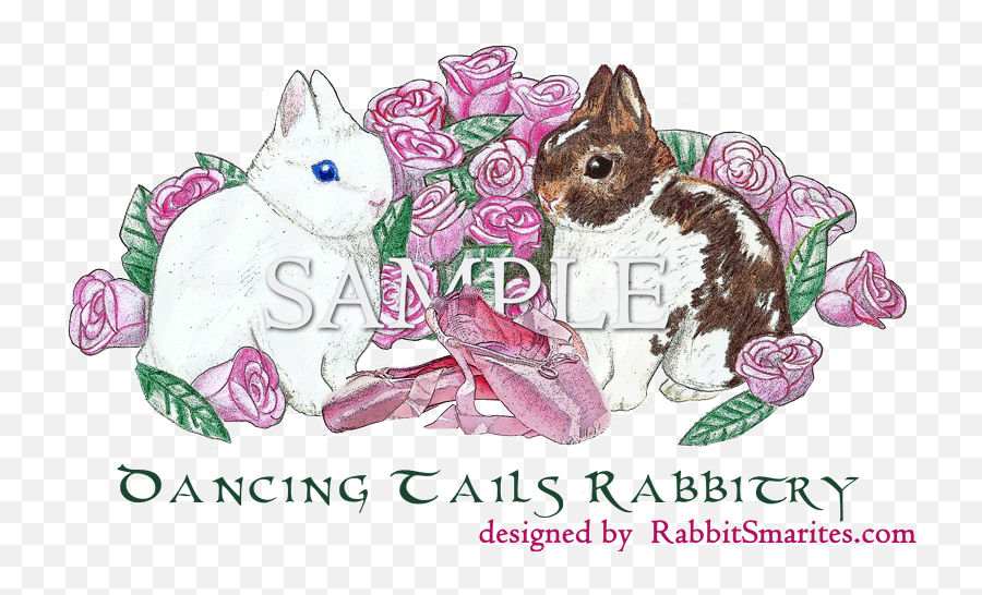 Rabbit Pedigrees The Nature Trail - Clipart Netherland Dwarf Png,Rabbit Logo