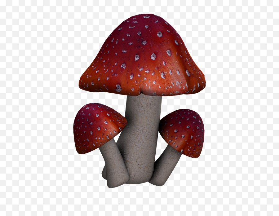 Download Fly Agaric Mushrooms Fantasy - Red Mushroom Art Fantasy Png,Mushrooms Png