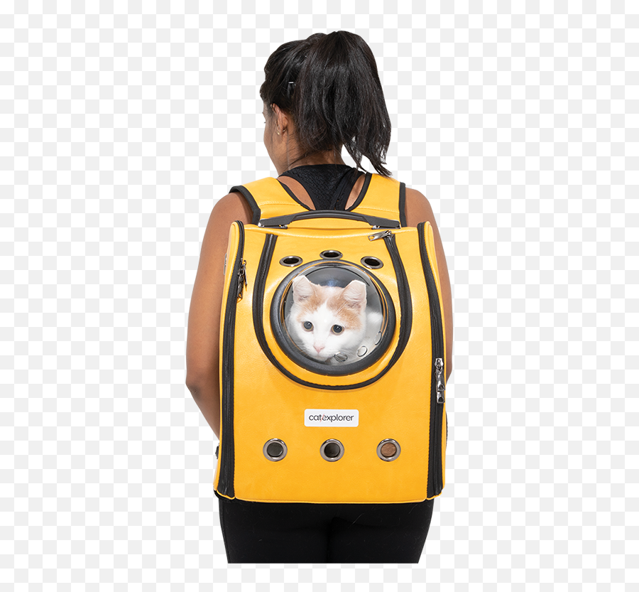 Pioneer Cat Backpack Catexplorer Png Back Pack
