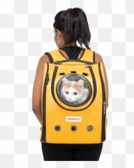 Pioneer Cat Backpack Catexplorer Png Back Pack