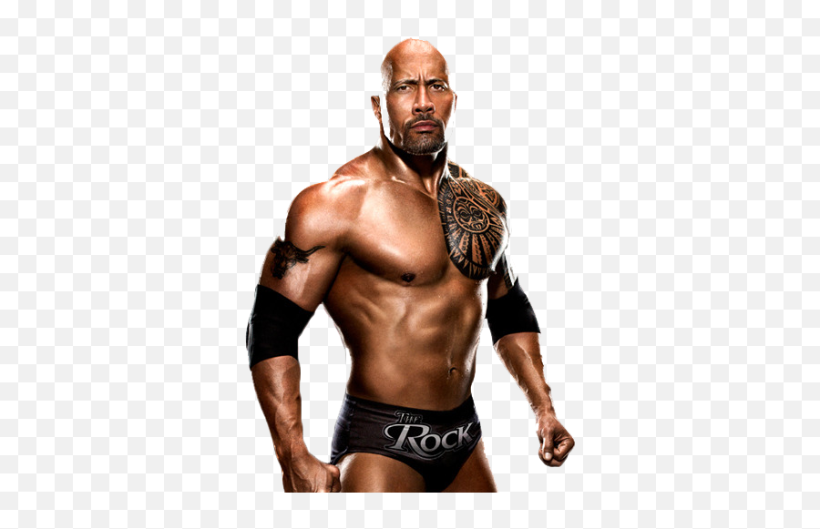 Download The Rock Transparent Image HQ PNG Image