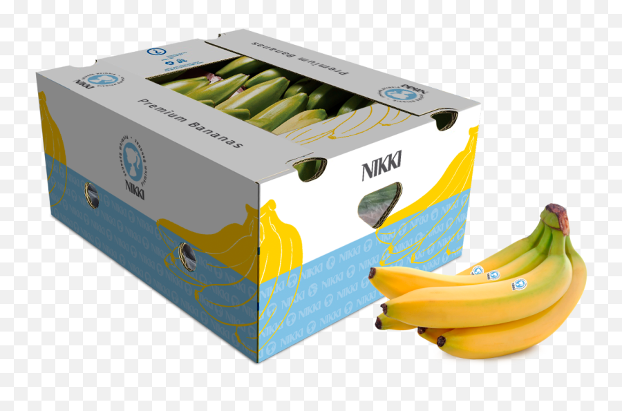 Home - Banana Production World 2019 Png,Bananas Png