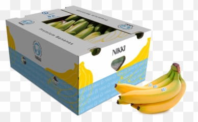Home - Banana Production World 2019 Png,Bananas Png