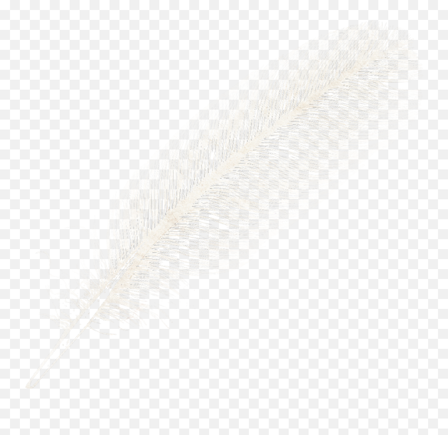 Feather - Feather Alpha Png,Feather Png
