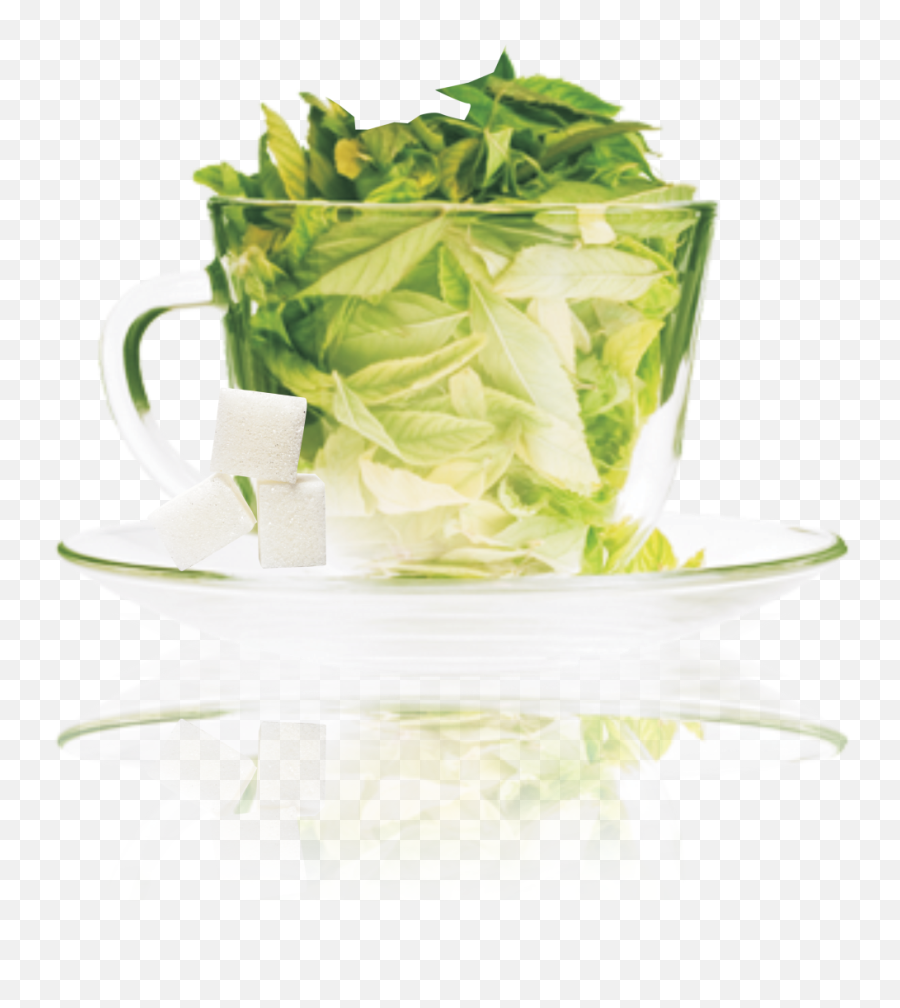 Amratam Stevia Green Tea - Professional Youth Forever Png,Green Tea Png