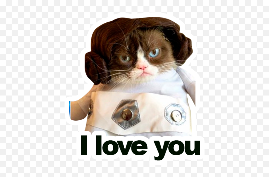 Sticker Maker - Grumpy Cat Y Lil Bub Jedi Cat May The 4th Be With You Png,Grumpy Cat Png