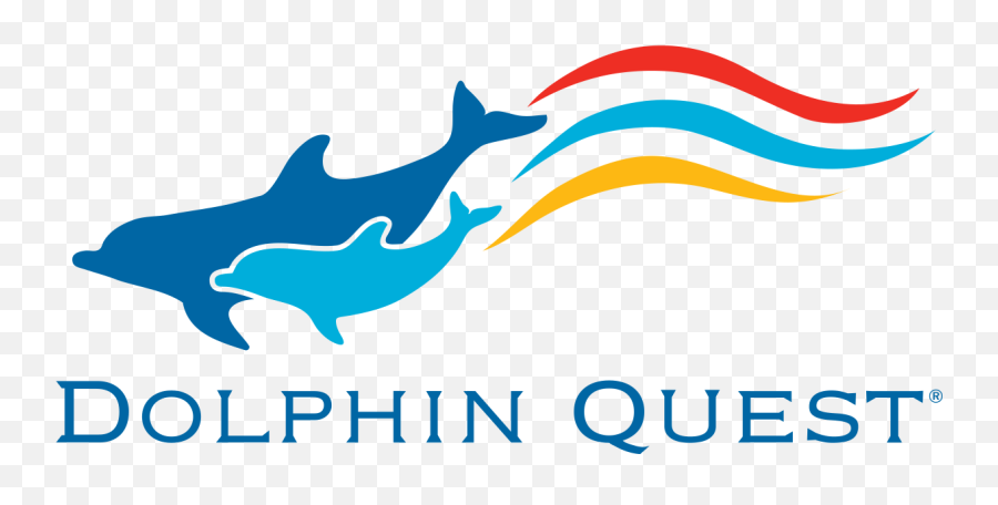 Dolphin Quest - Dolphin Quest Oahu Logo Png,Dolphins Logo Png