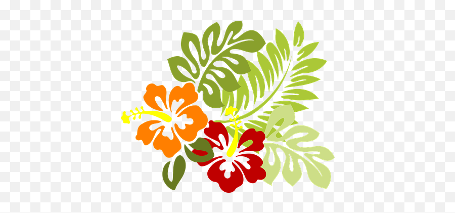 1000 Free Tropical U0026 Hawaii Illustrations - Pixabay Hibiscus Clip Art Png,Tropical Flowers Png