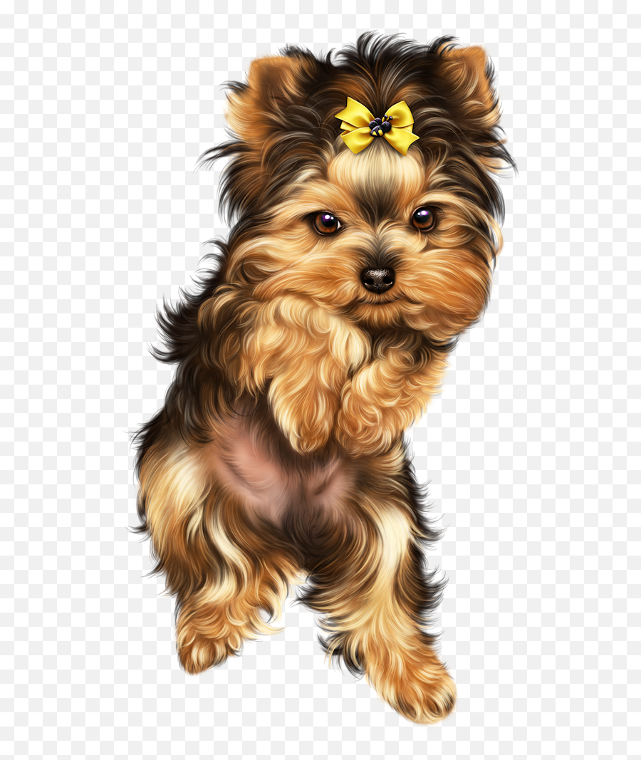 Cute Dog Pictures Yorkie Terrier - Yorkshire Desenho Png,Yorkie Png