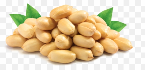 Groundnuts Png Transparent Images - 100 Calorie Snacks Low Carb,Peanuts Png