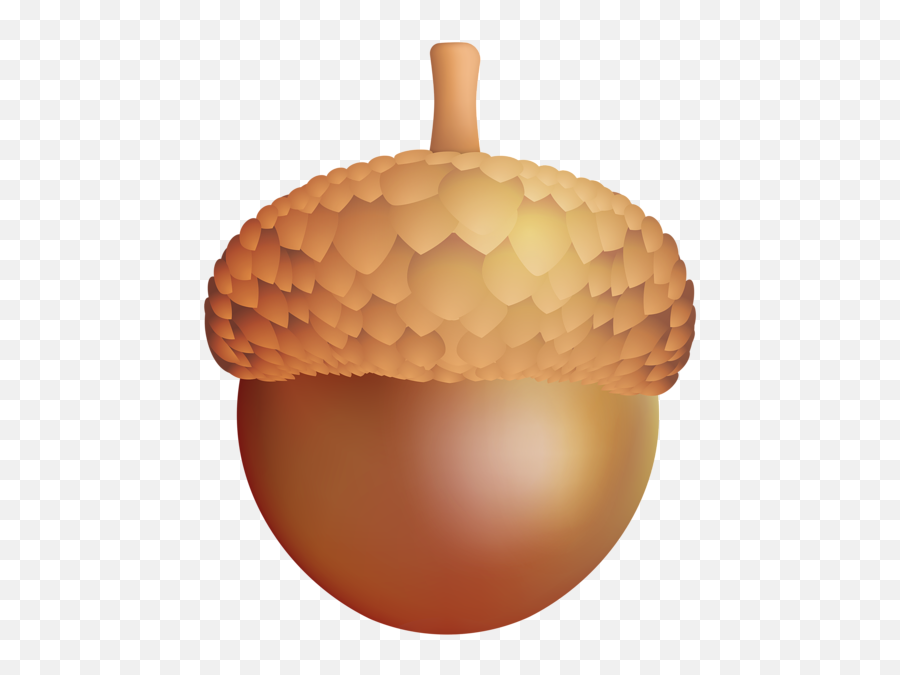 Download Acorn Png Image For Free - Transparent Transparent Background Acorn Clipart,Acorn Png