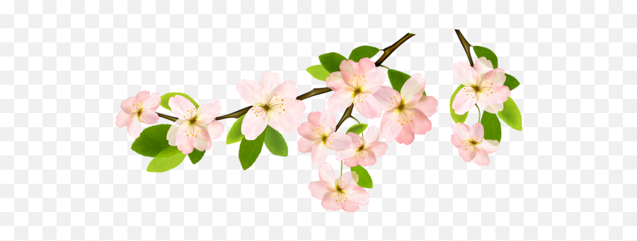 Transparent Background Spring Flowers - Flower Branch Clipart Png,Spring Background Png