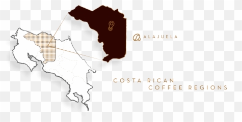 Costa Rican Medium Roast Alajuela From Cafe Britt - Mapa Alajuela Png,Costa Rica Png