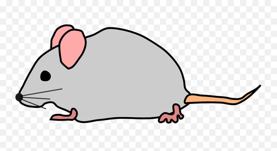 Mouse Clipart Transparent - Transparent Background Cartoon Mouse Png,Rodent Png