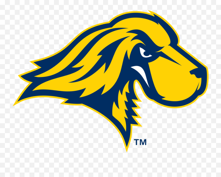 Track Field Teams - Pace University T Bone Png,Pace University Logo