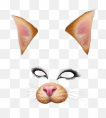 Stock Filters Snapchat Png Files - Dog