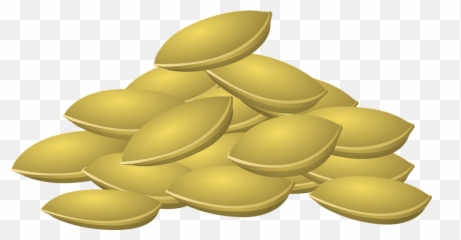 Pumpkin Seeds Png - Seeds Clipart