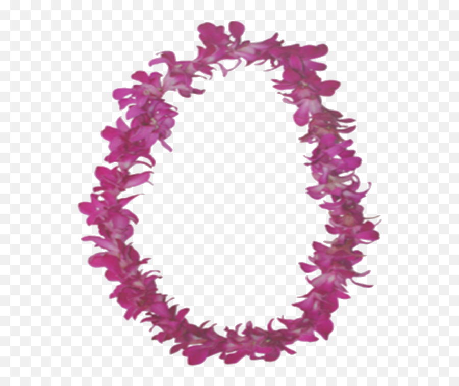 Hawaii Lei - Lamar Jackson With Shades Png,Lei Png