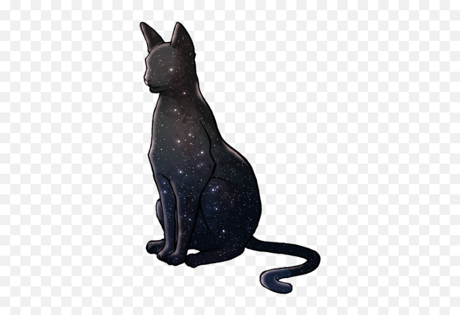 Transparent Cat - Dusty Gravity Rush Fanart Png,Transparent Cat