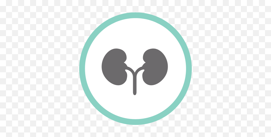 Nonthavej Hospital - Hemodialysis Department Scope Of Dot Png,Dialysis Icon