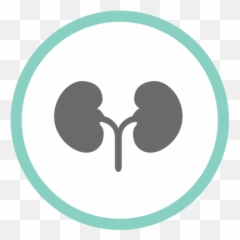 Nonthavej Hospital - Hemodialysis Department Scope of Dot png