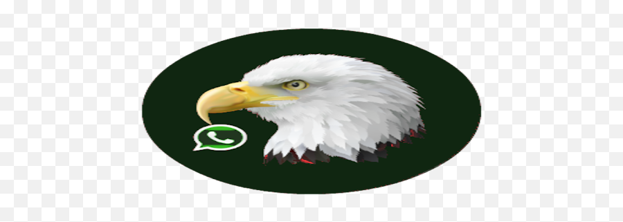 Privatetracker Comycrathiprivatetracker - 1019 Bald Eagle Png,Avast Safe Zone Icon