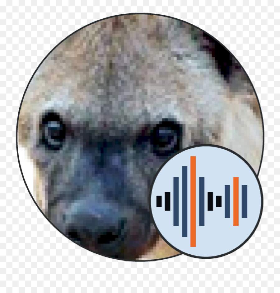 Hyena Sounds - Buford T Justice Sound Board Png,Hyena Icon