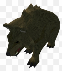 Grizzly Bear - The RuneScape Wiki Wild Boar png