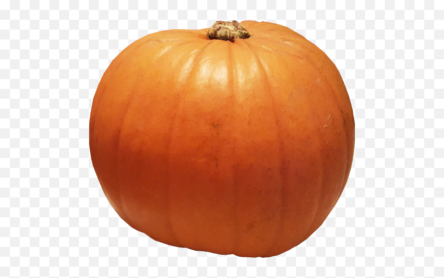 Pumpkin Transparent Image - Pumpkin Png,Transparent Background Free