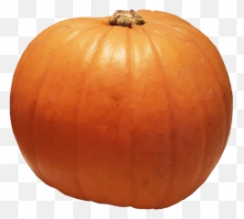 Pumpkin Transparent Image - png