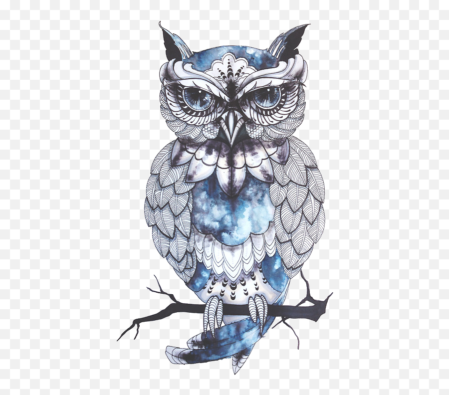 Transparent Picture Tumblr - Blue Owl Tattoo Png,Forest Transparent Background