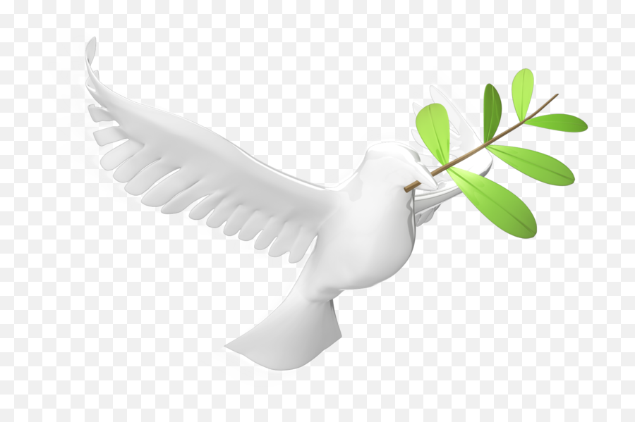 Olive Leaf 800 Clr - Dove Holy Spirit Leaf Png,Holy Spirit Png