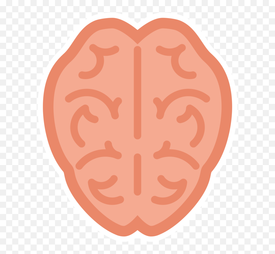 Brain Simple - Illustration Png,Brain Clipart Transparent