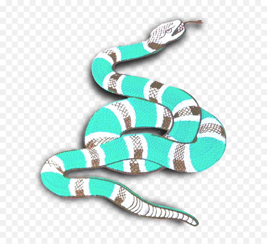 Snake Guccisnake Gucci Reptile Serpent Aquamarine Teal - Elapidae Png,Gucci Snake Png