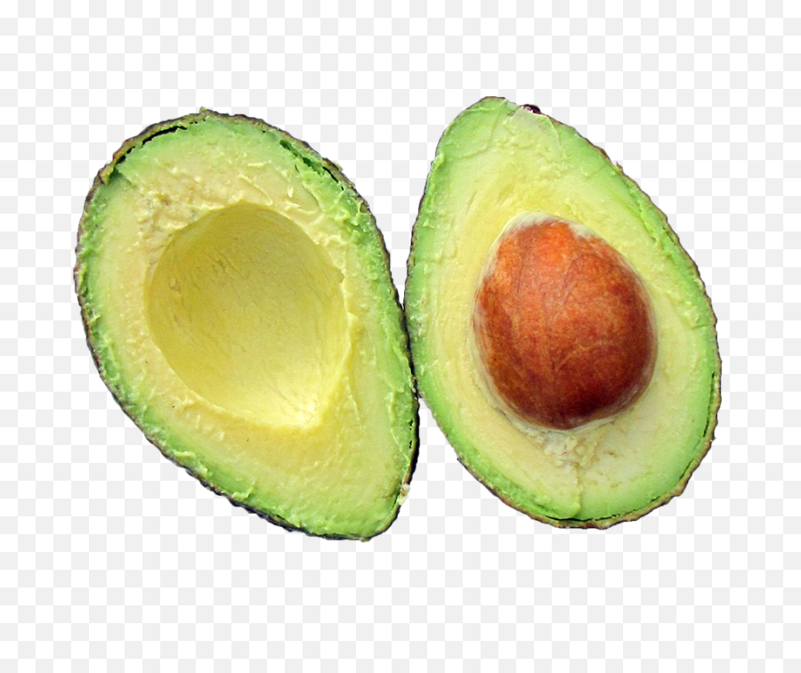 Avocado Png Image - Healthy High Fat Foods,Avocado Transparent Background