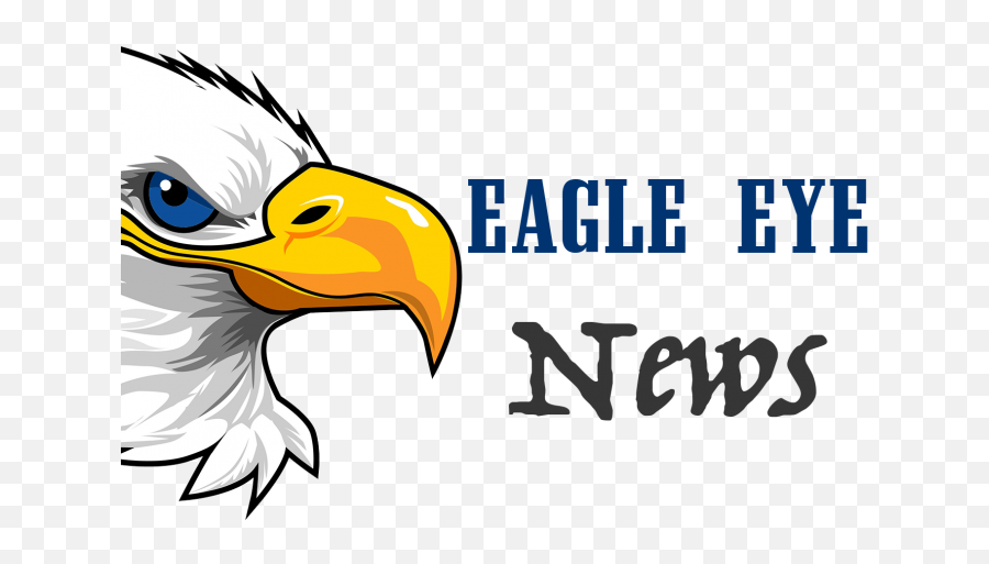 Bald Eagle Clipart Eye - Bald Eagle Head Cartoon Png Bald Eagle,Bald Head Png