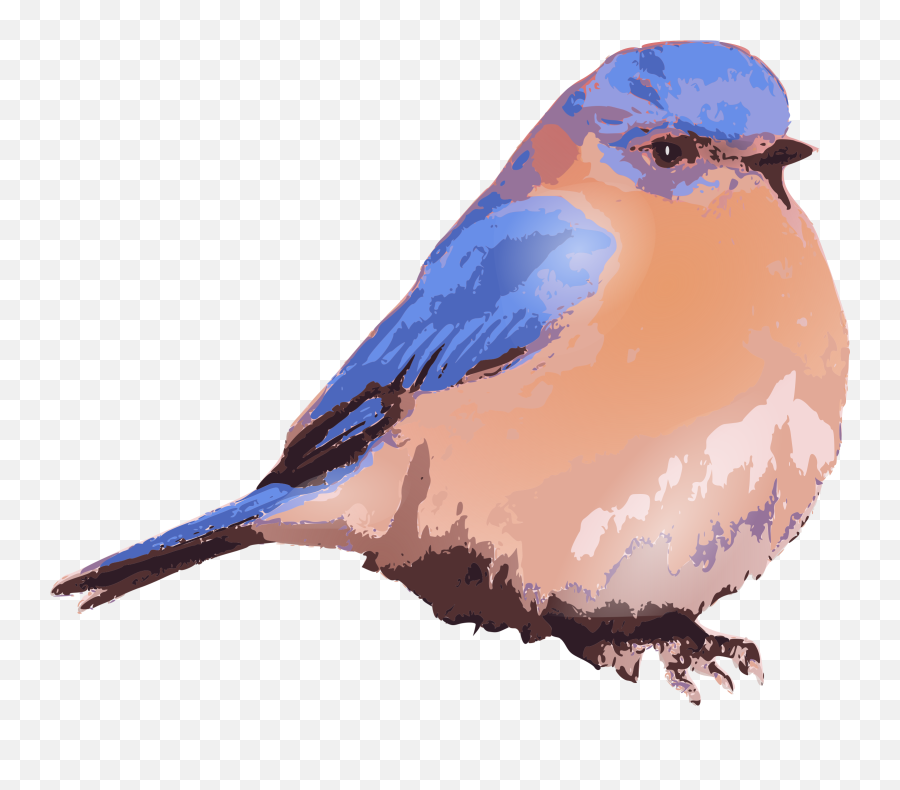 Blue Bird Png Picture - Clip Art Eastern Bluebird Art,Blue Bird Png