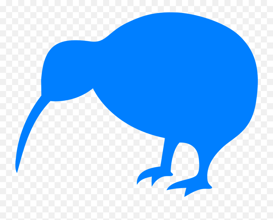 Kiwi Bird Animal - Free Vector Graphic On Pixabay Kiwi New Zealand Flag Png,Kiwi Bird Png