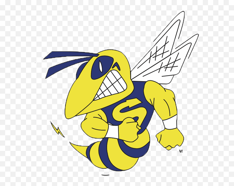 Hornets U Baseball - Saline High School Hornets Saline High School Hornets Png,Hornets Logo Png