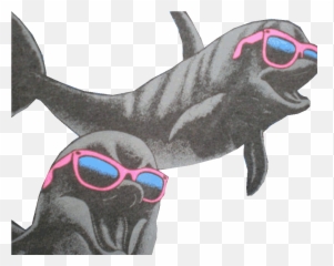 Tumblr Png Gif - Transparent Dolphin Gif 5084100 Vippng Gifs