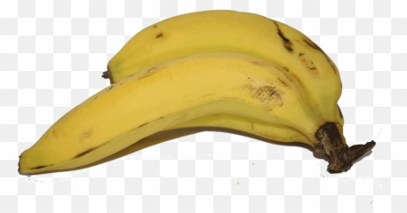 Bananas Png - Saba