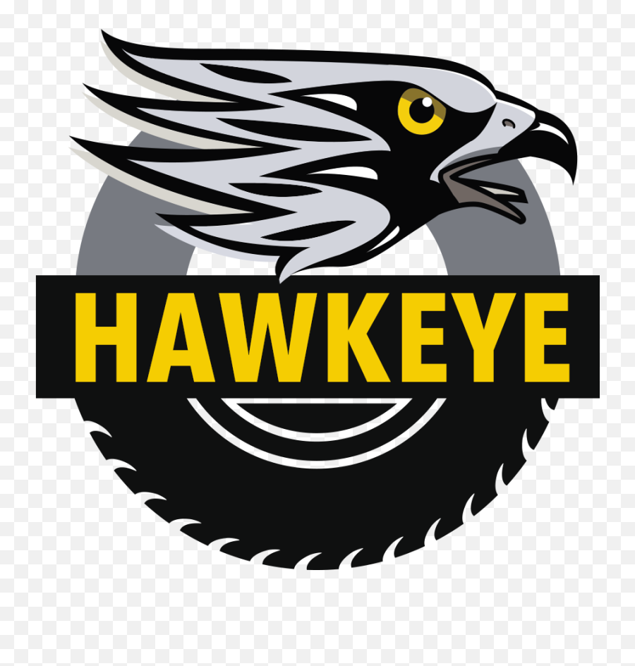 Hawk Eye U2013 Home - Hawkeye Gaming Logo Png,Hawkeye Logo Png