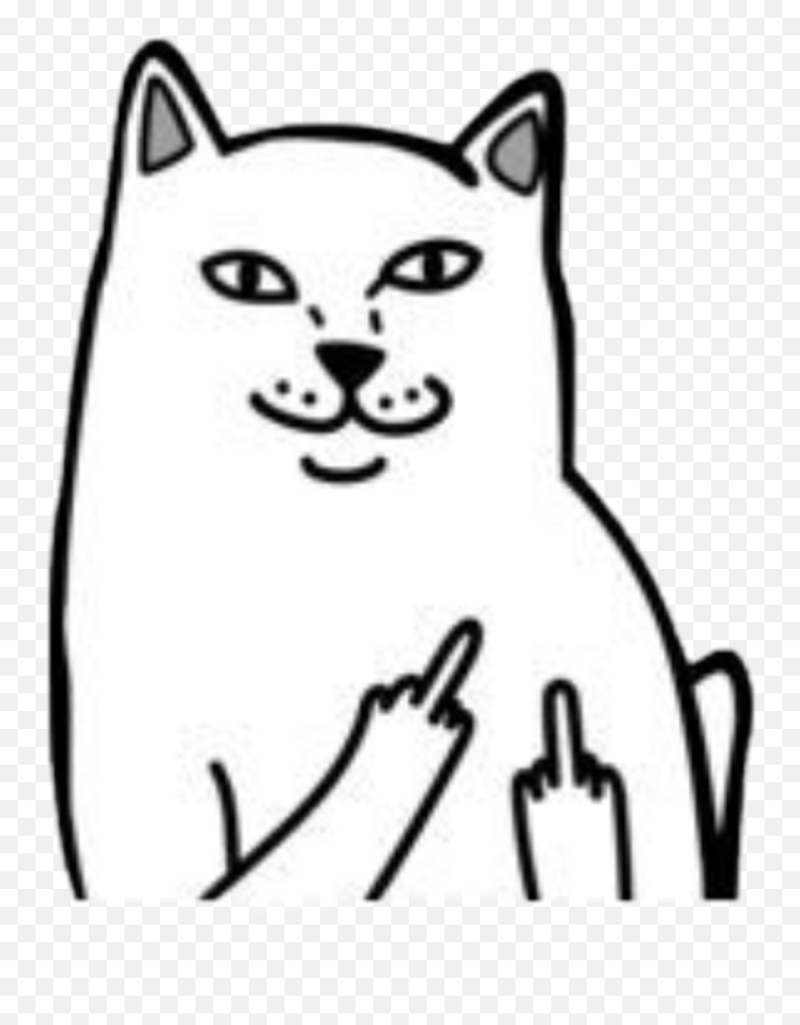 Cat Fuck Hand Sticker White Black Aesthetic - Cat Cat Sticking Middle Finger Png,Cat Png Image