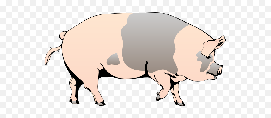 Pig Walking Clip Art - Vector Clip Art Online Pig Walking Clipart Png,Hog Png