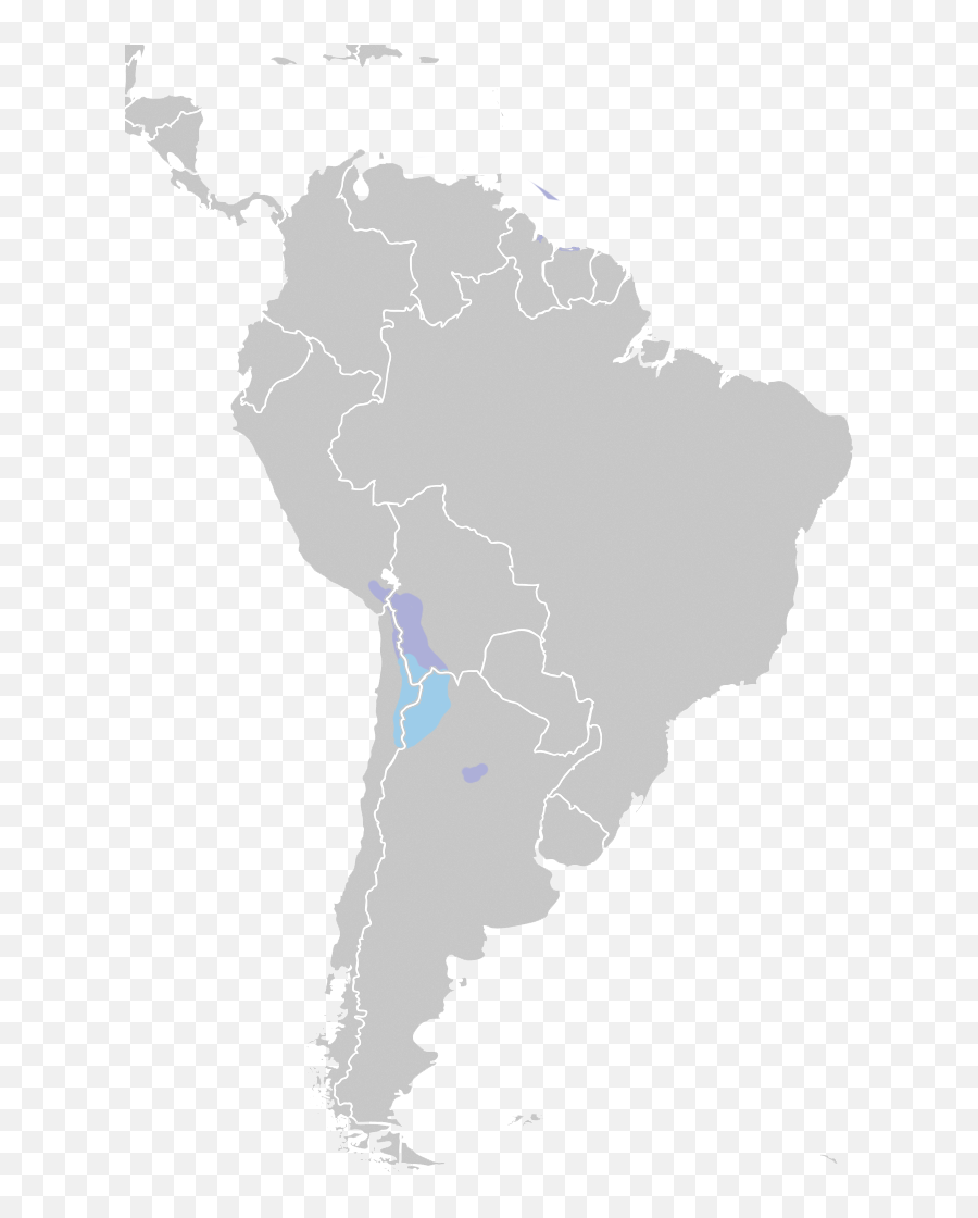 Filedistributionandeanflamingopng - Wikipedia South America Map Gray,Flamingo Png