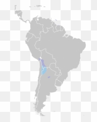 Filedistributionandeanflamingopng - Wikipedia South America Map Gray,Flamingo Png