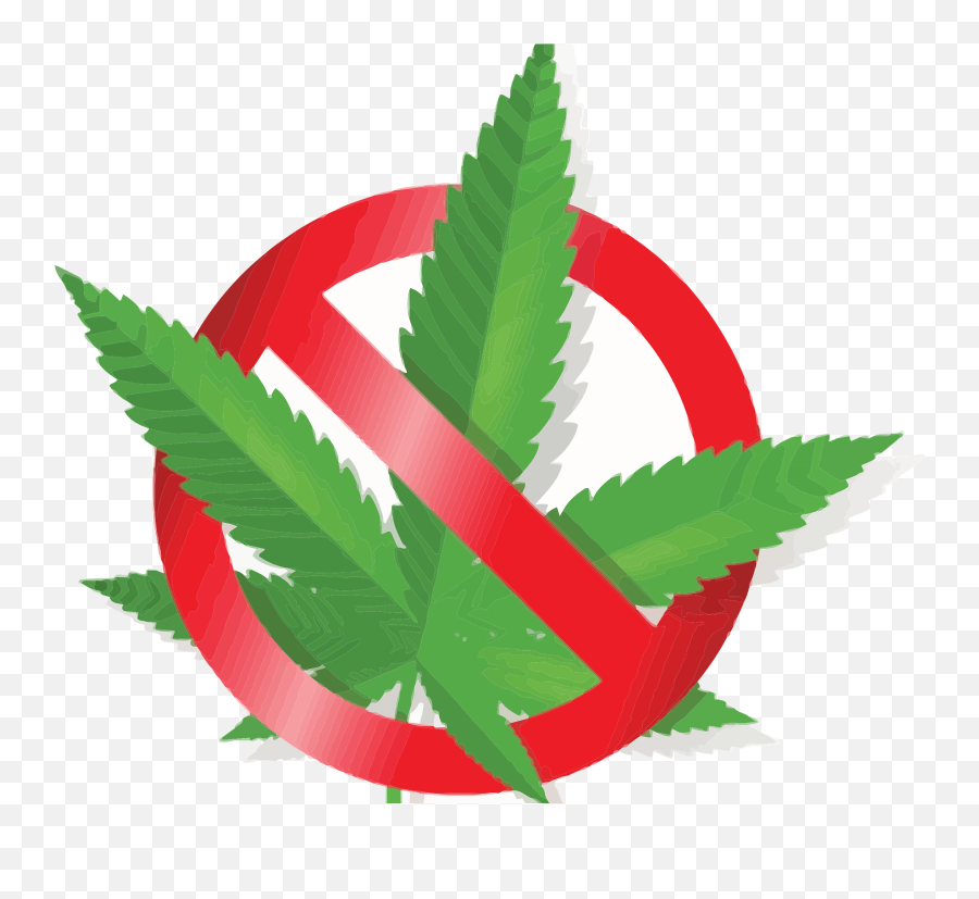 No Cannabis Clipart Free Download Transparent Png Creazilla - Marihuana Stop,Hemp Leaf Png