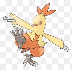 Combusken - Pokemon Combusken Png,Torchic Png
